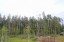 Продажа загородного дома Красногорск, Нахабино, Усадьба