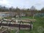 Продажа загородного дома Луга, Санаторий "Жемчужина", Мичуринское-2, 5