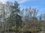 Продажа загородного дома Парголово, Некрасова, 31 литер А