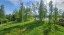 Продажа загородного дома Петергоф, Баушевская, 19