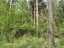 Продажа загородного дома Литвиново, Березовая, 48