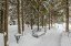 Продажа загородного дома Кубинка