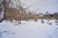 Продажа загородного дома Заполье, 52