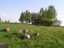 Продажа загородного дома Чехов, Якшино