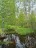 Продажа загородного дома Лебедевка, 3