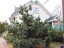 Продажа загородного дома Подольск, Ордынцы, Сирень