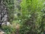 Продажа загородного дома Узигонты, 6 литер б