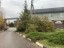 Продажа загородного дома Истра, Борзые, 9