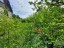 Продажа загородного дома Парголово, Красная заря, к.нт