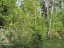 Продажа загородного дома Литвиново, Березовая, 48