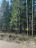 Продажа загородного дома Ручеек массива Павловск-Новолисино, к.нт