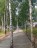 Продажа загородного дома Истра, Якунино, 396