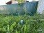 Продажа загородного дома Сертолово, Ромашка, к.нт