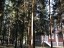 Продажа загородного дома Истра