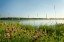 Продажа загородного дома Дмитров, Озерецкое, Радости, 2
