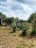 Продажа загородного дома Дмитров, Космынка