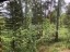 Продажа загородного дома Мыс