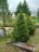 Продажа загородного дома Сорочкино
