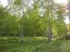 Продажа загородного дома Сертолово, к.нт
