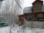 Продажа загородного дома Акустика, к.нт