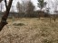 Продажа загородного дома Клетки