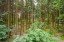 Продажа загородного дома Кубинка