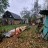 Продажа загородного дома Лесной Городок, Центральная, 94/23