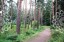 Продажа загородного дома Малаховка, Быковское, 81 к. 1
