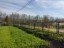 Продажа загородного дома Пупышево, Риф, к.НТ
