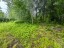 Продажа загородного дома Лехтуси, Дружное-3, к.нт.