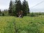 Продажа загородного дома Меньково, Огородная