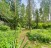 Продажа загородного дома Вялки, Подлесная