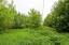 Продажа загородного дома Кашира, Тарасково, Лебединая, 15
