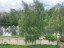 Продажа загородного дома Истра, Покровское, Центральная, 44