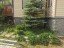 Продажа загородного дома Герасимиха, 60