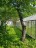 Продажа загородного дома Ивангород, Лесная