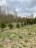Продажа загородного дома Антомоново, 4