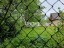 Продажа загородного дома Мертуть, Заозерное, 1467