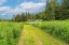 Продажа загородного дома Дмитров, Бабаиха