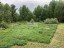 Продажа загородного дома Севастьяново, 401
