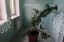 Продажа загородного дома Институтская 1-я