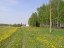 Продажа загородного дома Чехов, Якшино