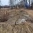 Продажа загородного дома Большевик, Дашковка