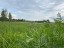 Продажа загородного дома Истра, Петровское