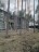 Продажа загородного дома Всеволожск, Камышовая