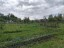 Продажа загородного дома Волошово, Железнодорожная