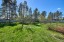 Продажа загородного дома Подборовье, Набережная