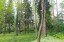 Продажа загородного дома Николина Гора