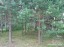 Продажа загородного дома Луга, Санаторий "Жемчужина", Мичуринское-2, к.нт