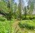 Продажа загородного дома Вялки, Подлесная, 1 корпус В
